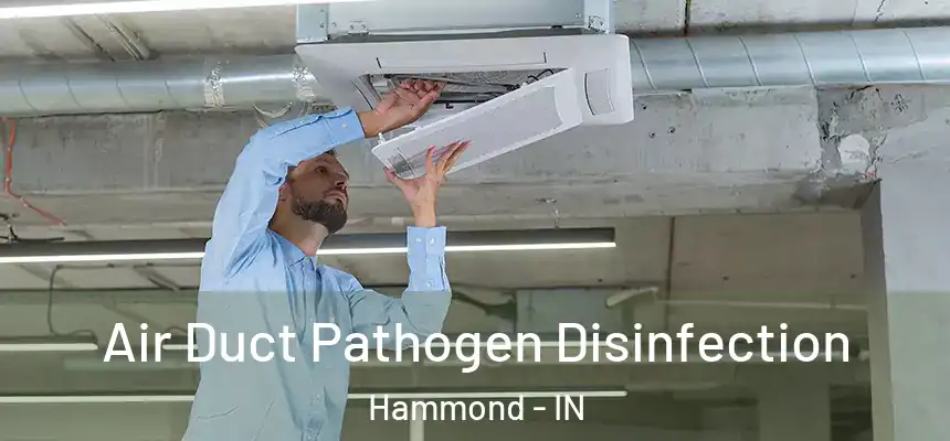  Air Duct Pathogen Disinfection Hammond - IN