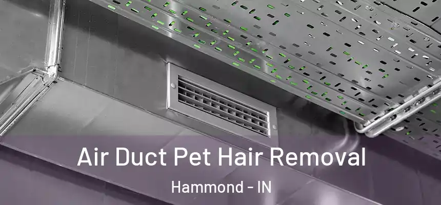 Air Duct Pet Hair Removal Hammond - IN