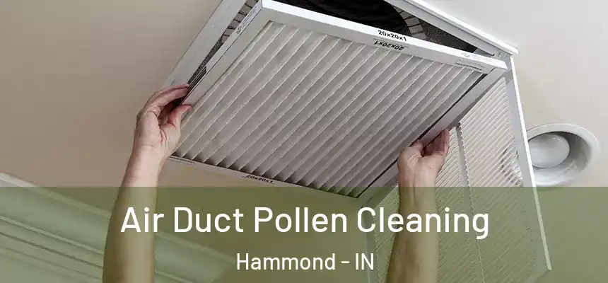 Air Duct Pollen Cleaning Hammond - IN