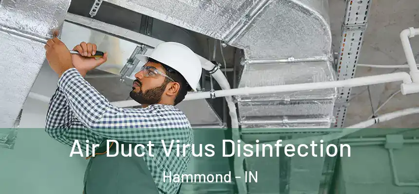  Air Duct Virus Disinfection Hammond - IN
