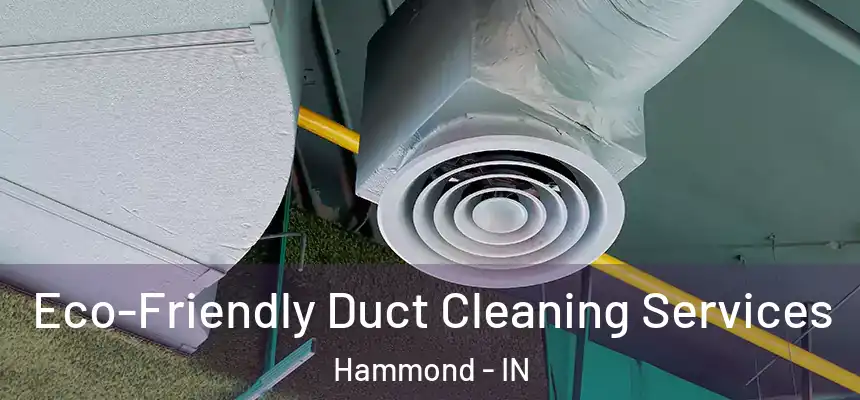  Eco-Friendly Duct Cleaning Services Hammond - IN