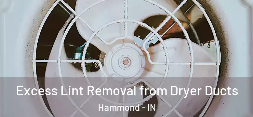  Excess Lint Removal from Dryer Ducts Hammond - IN