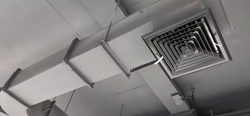 Restorative Allergy Relief Vent Cleaning – Coil, Blower & Housing Detail in Hammond