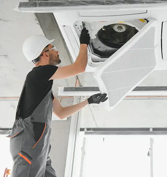 About Air Duct Rodent Removal in Hammond, IN