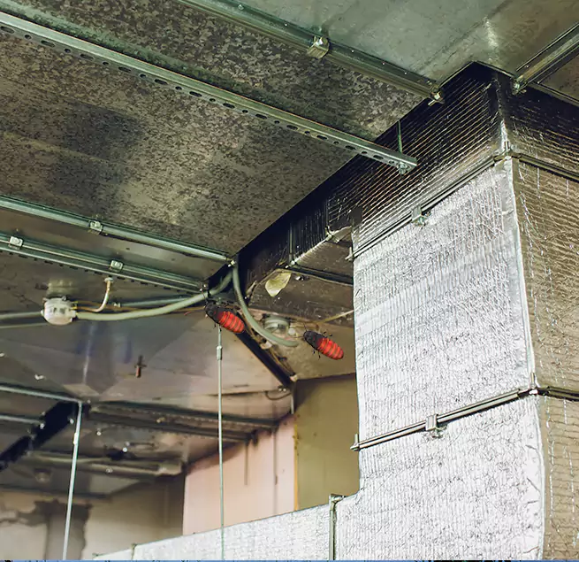 Why Homeowners & Businesses Trust Us in Hammond, IN?