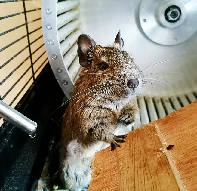 Why Homeowners & Businesses Trust Us Hammond, IN?