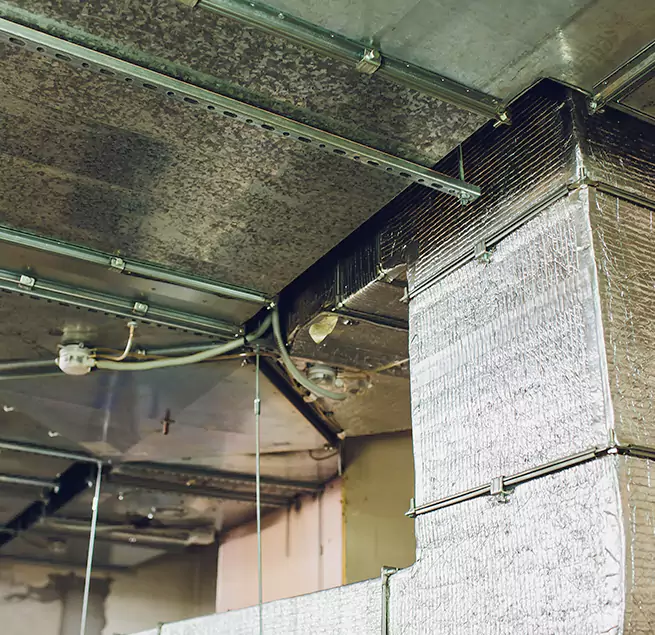 Why Homeowners & Businesses Trust Us in Hammond, IN?