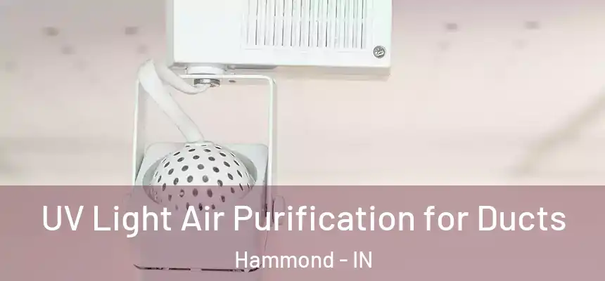  UV Light Air Purification for Ducts Hammond - IN